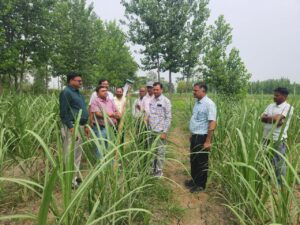 जिला गन्ना अधिकारी ने बरखेड़ा चीनी मिल क्षेत्र में गन्ना सर्वे का किया निरीक्षण: किसानों को दिए बेहतर पैदावार के टिप्स